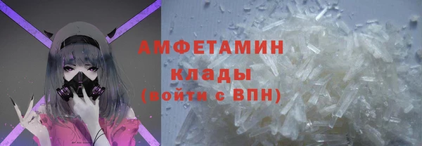 прущие грибы Абинск