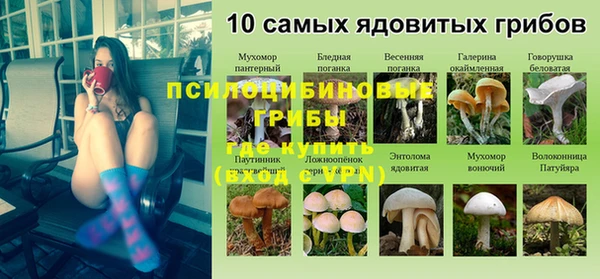 прущие грибы Абинск