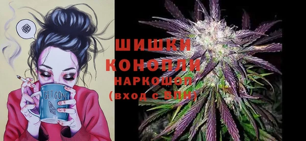 spice Абаза