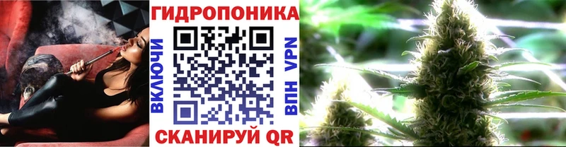 как найти   Кандалакша  Марихуана тримм 